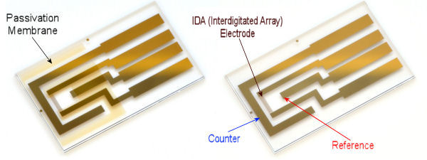 IDA(Interdigitated Array) Electrode Au 2 um