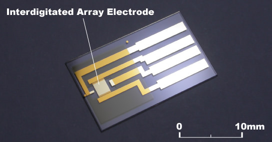 IDA(Interdigitated Array) Electrode