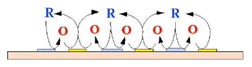 Fig. 3-1 Conceptual diagram of the redox cycle. Fig. 3-1 Conceptual diagram of the redox cycle.