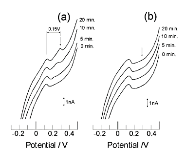 Fig. 7-4 Conversion stripping voltammogram of ruthenium hexamine. Fig. 7-4 Conversion stripping voltammogram of ruthenium hexamine.