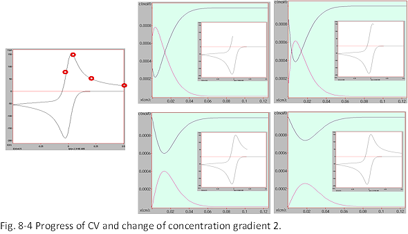 Fig. 8-3 Progress of CV and change of concentration gradient 2.