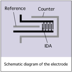 Schematic diagram of the electrode