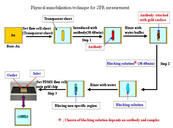  Handy-SPR -- Physical immobilization technique