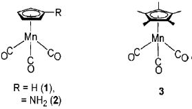 Fig.8-2 Manganese clusters Fig.8-2 Manganese clusters