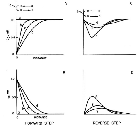 Fig. 1-2 Transition of concentration-distance profile caused by potential step. Fig. 1-2 Transition of concentration-distance profile caused by potential step.