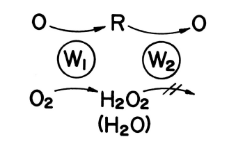 Fig. 3-18 Removal of dissolved oxygen by dual series electrodes.