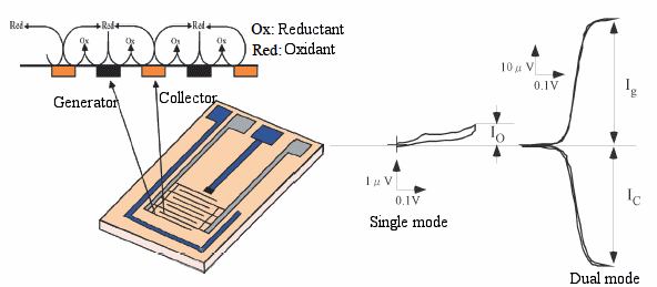 Fig.3-27 Cycling reaction using IDA electrode.