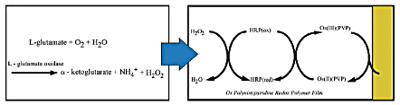Fig. 3-36 Schematic diagram of the reaction at the sensor.