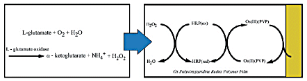 Fig. 3-36 Schematic diagram of the reaction at the sensor. Fig. 3-36 Schematic diagram of the reaction at the sensor.