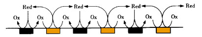 IDA Electrode IDA Electrode
