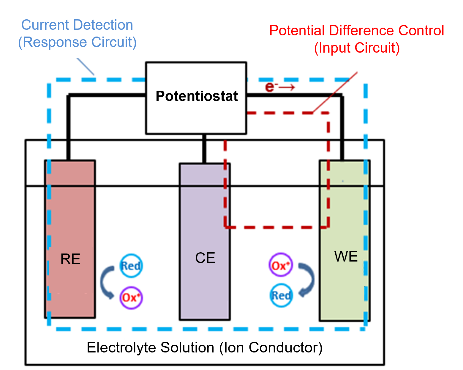 Fig. 1-1 Schematic diagram of a three-electrode configuration.