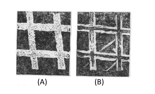 Fig. 3-2 Scanning electron microscope photograph of 500-lpi gold mesh grid (x 1000x)