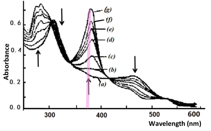 Fig. 4-5 Thin layer spectrum of B12red reduced to B12red,2.