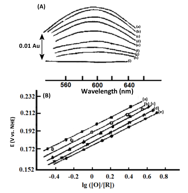  Fig. 4-7 A. Thin-layer spectra of stellate anthocyanins at different applied potentials. B. Nernst diagram at different temperatures.