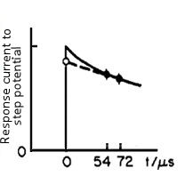 Fig.4-2 El dominio del tiempo de la corriente de respuesta, bajo un pequeño paso de tensión aplicada.