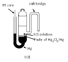 Calomel Reference electrode